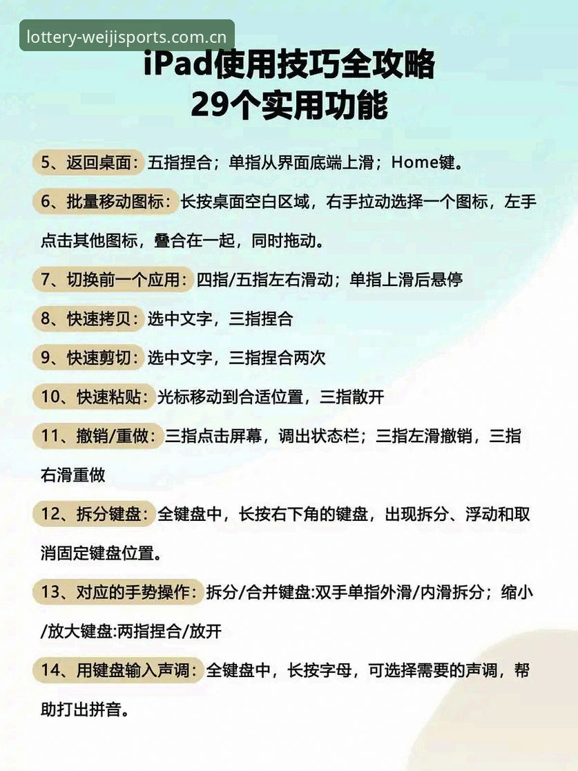 维基体育电脑版使用技巧最新动态：从入门到精通的实用指南
