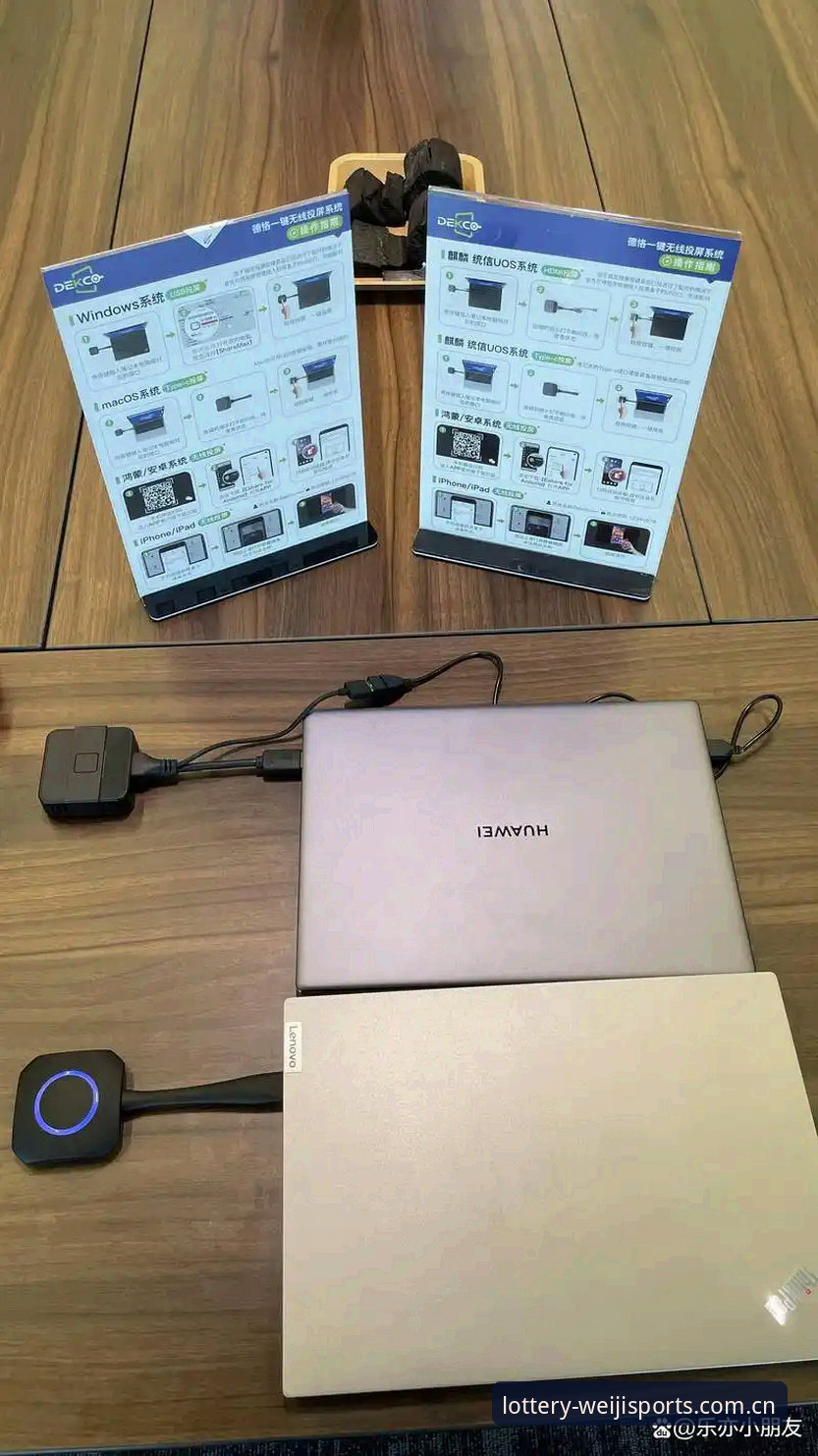 维基体育电脑版全面解析：从系统兼容到创新体验的深度分析